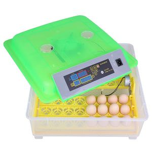 48-Egg Practical Peep Hole Fully Automatic Poultry Incubator