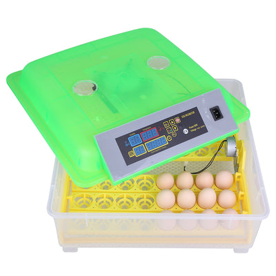 48-Egg Practical Peep Hole Fully Automatic Poultry Incubator